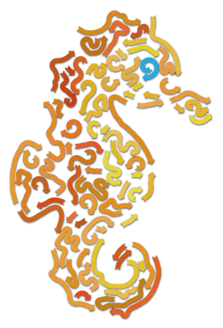 Seahorse