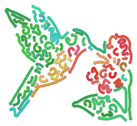 Hummingbird